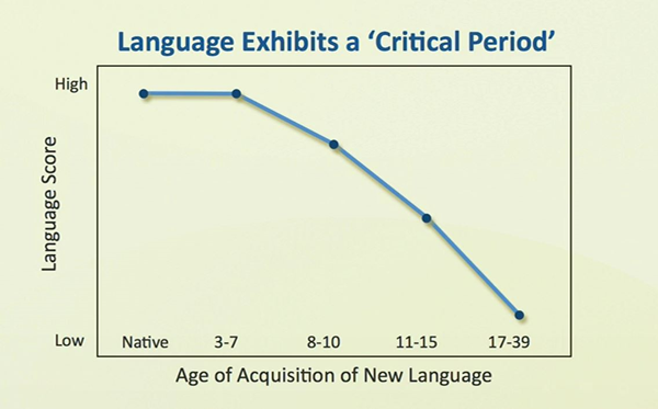言語習得能力と年齢の関係